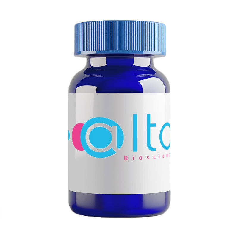 CEF19, Epstein-Barr Virus latent NA-3A (458-466)