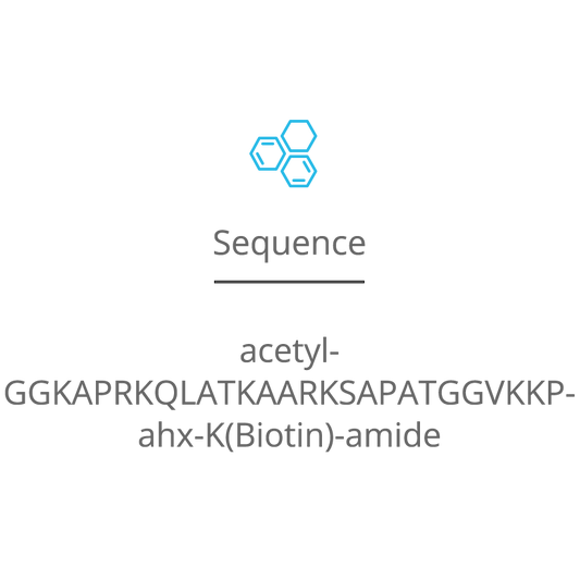 H3(12-38) biotin